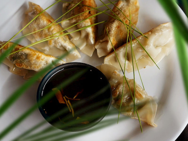 Asian Dumplings Cooking Party in Boston