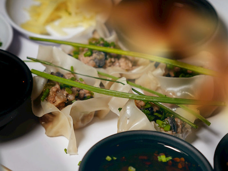 Asian Dumplings Cooking Party in Boston