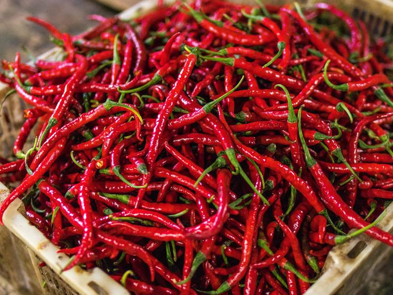 How To Dry Chili Peppers