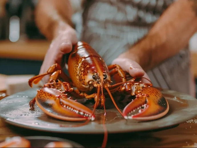 Lobster Love & Seafood Galore in Boston
